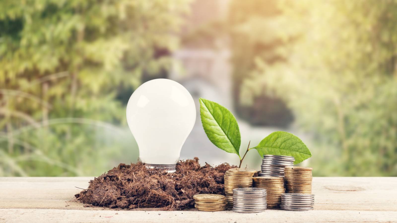 SRI, ESG & Have an effect on Investing For Girls: Understanding Your Decisions